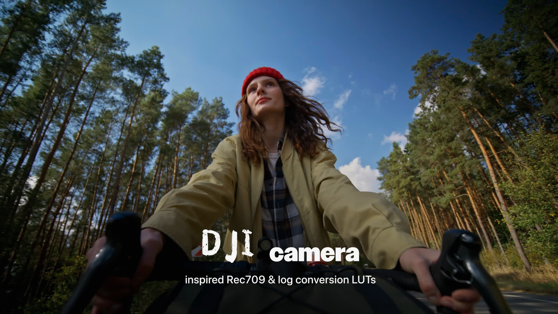 Cinematic DJI Luts