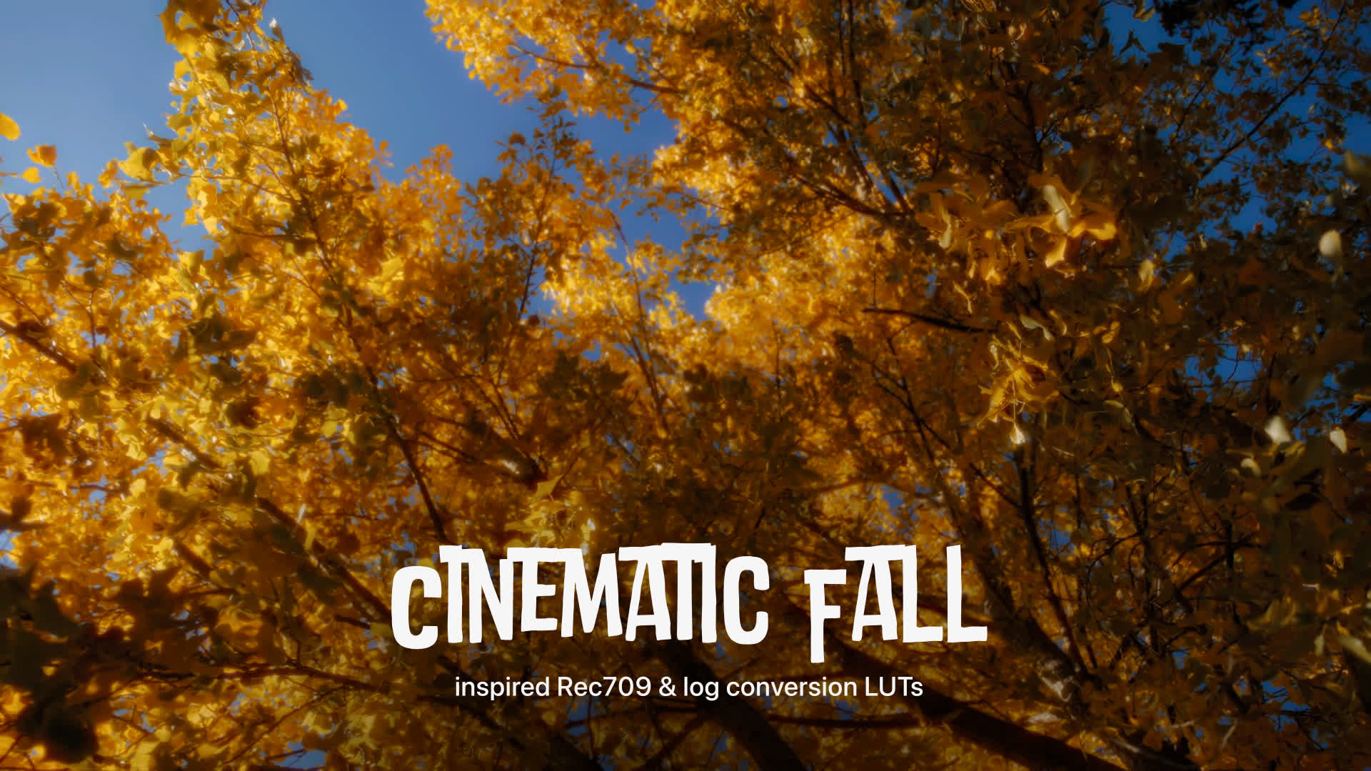 Cinematic Fall Luts