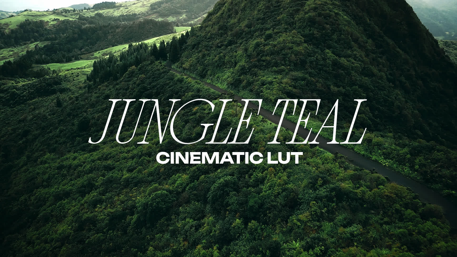 Cinematic Jungle Teal LUT