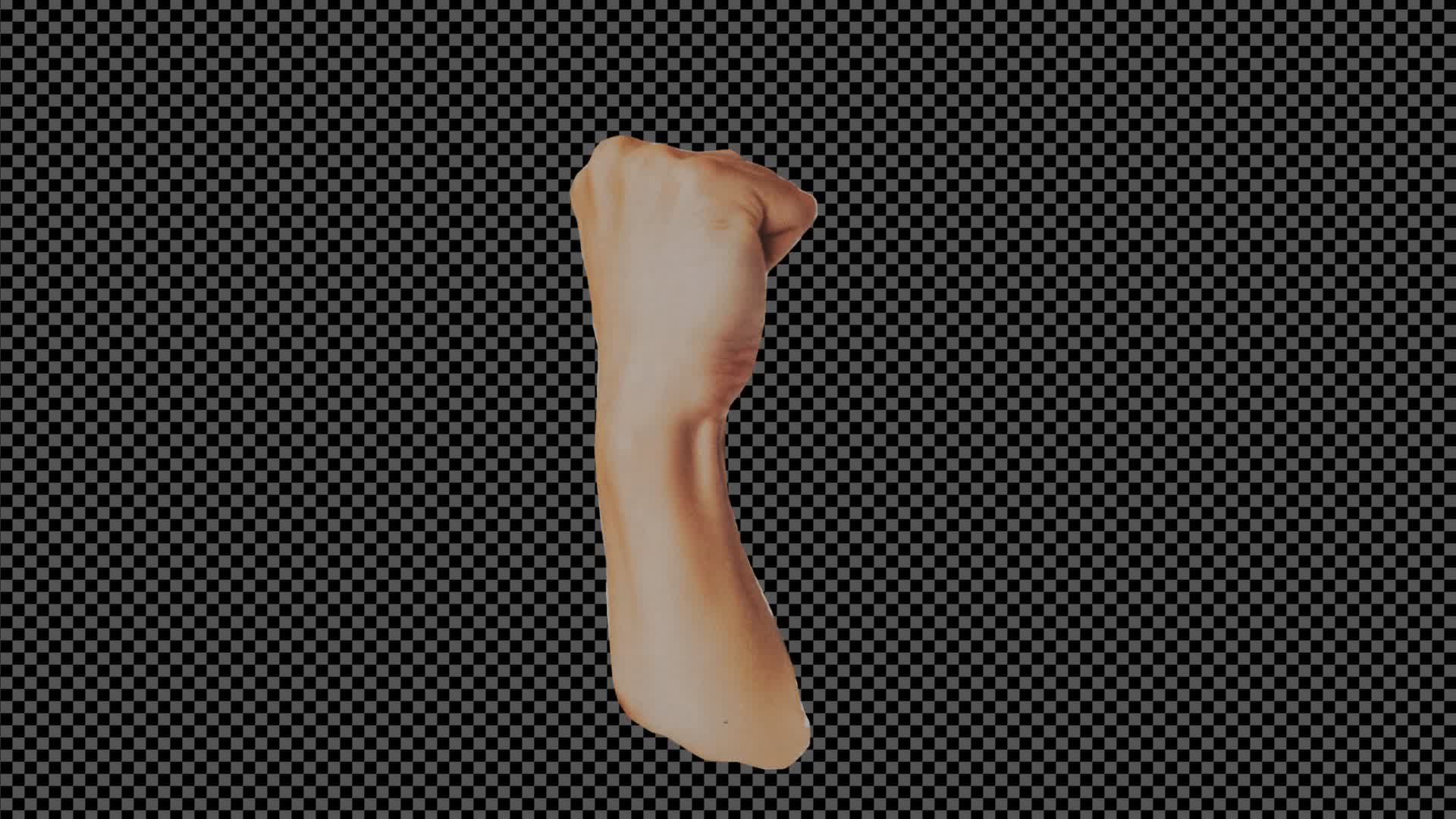 Collage Fist On Alpha