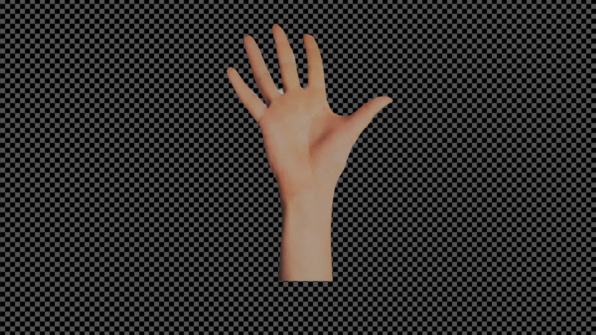 Collage High Five On Alpha