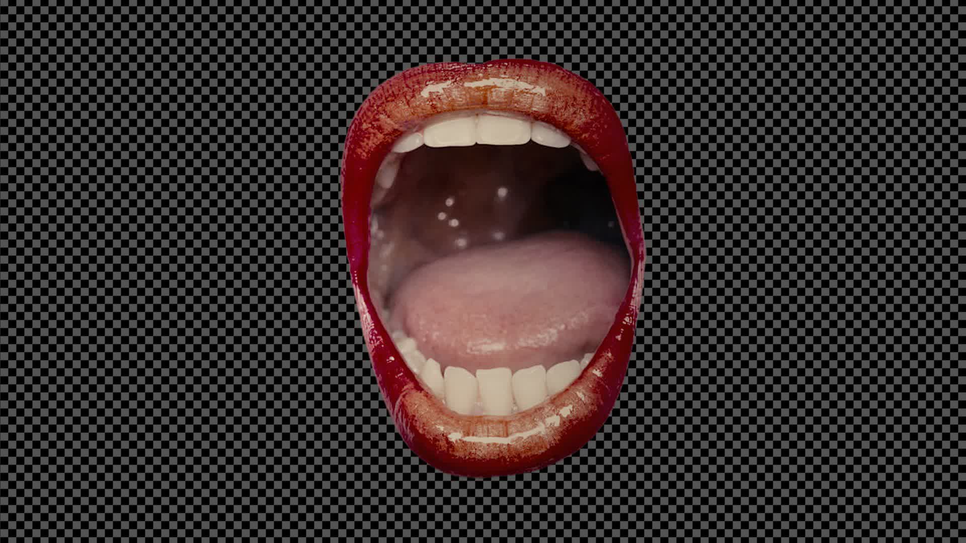 Collage Open Month On Alpha