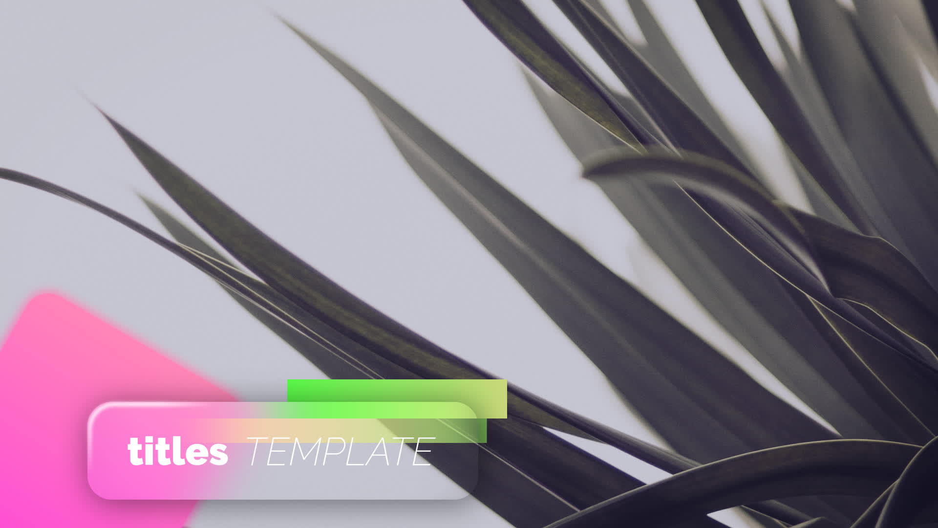 Colorful Glass Effect Titles