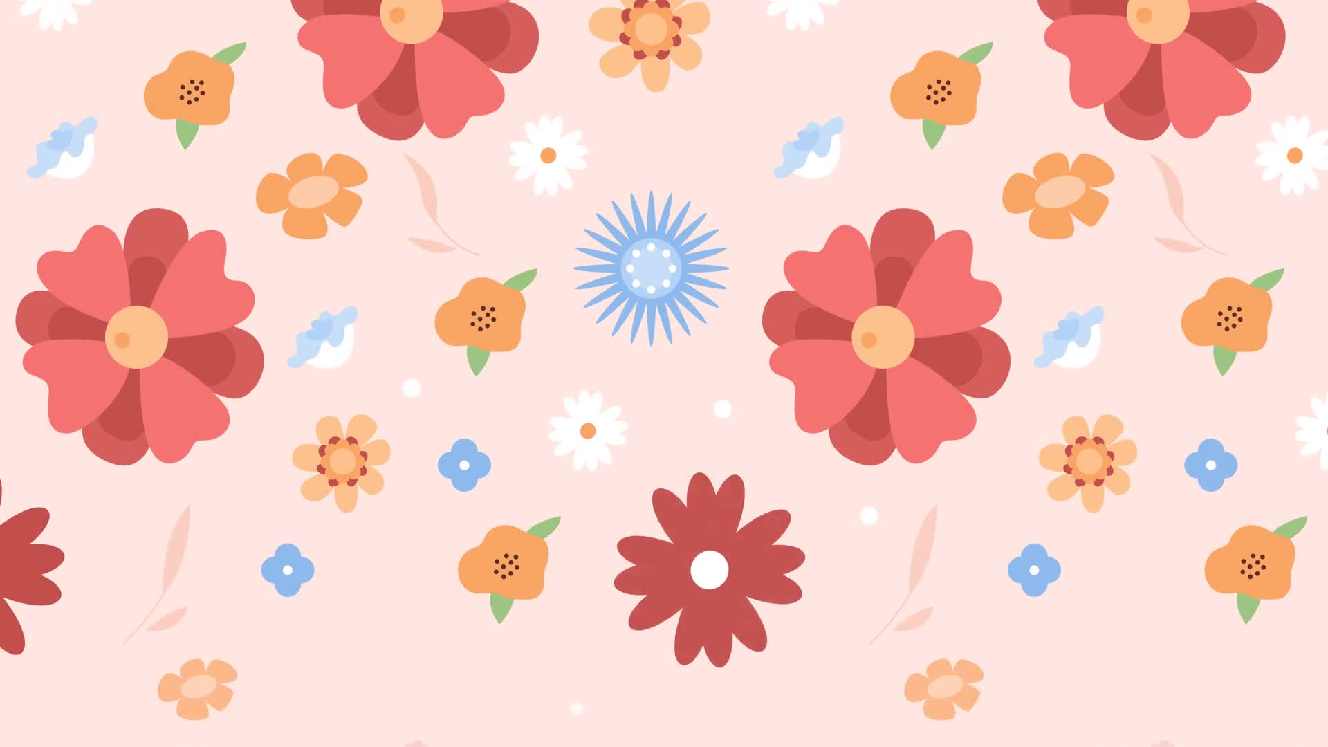 Colorful Spring Flower Background Loop