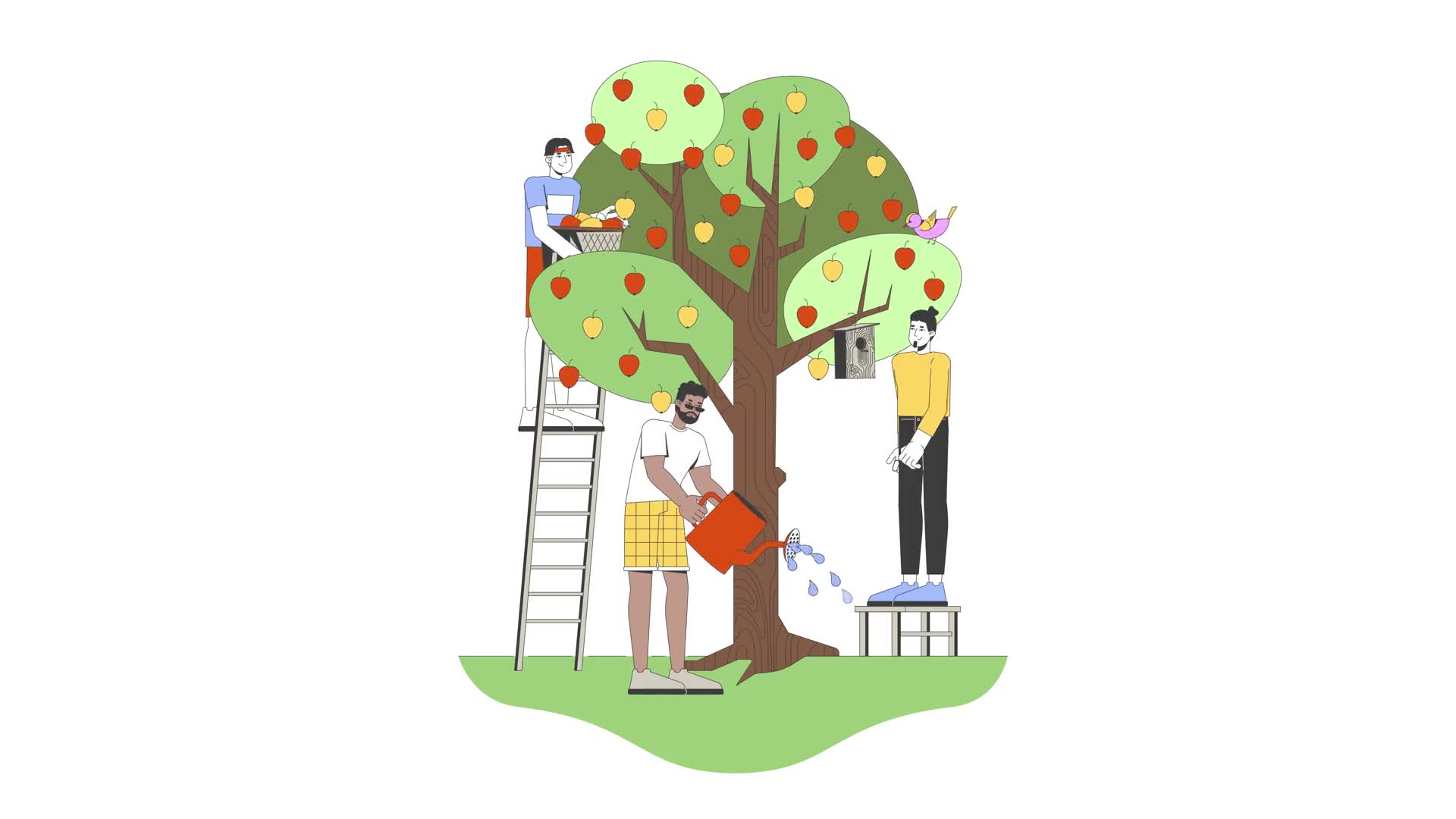Community Apple Harvest