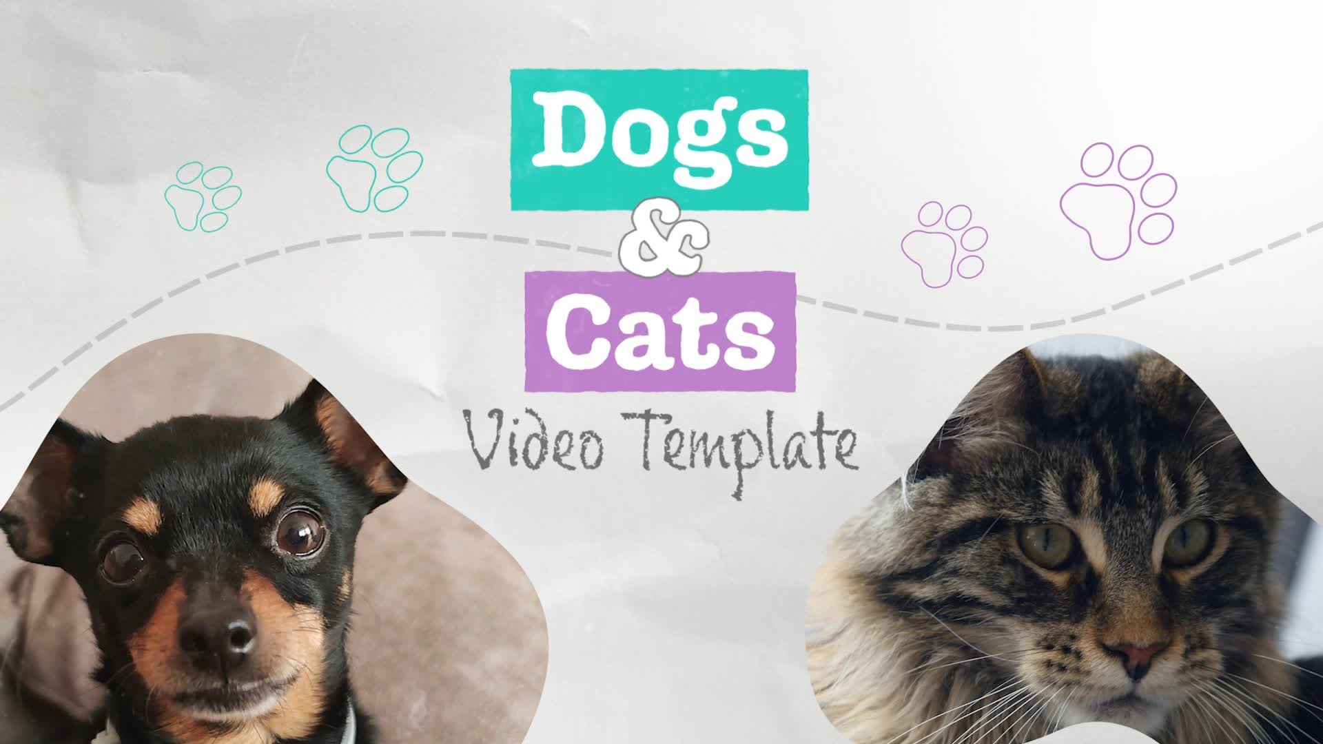 Cute Pawprint Themed Pet Intro
