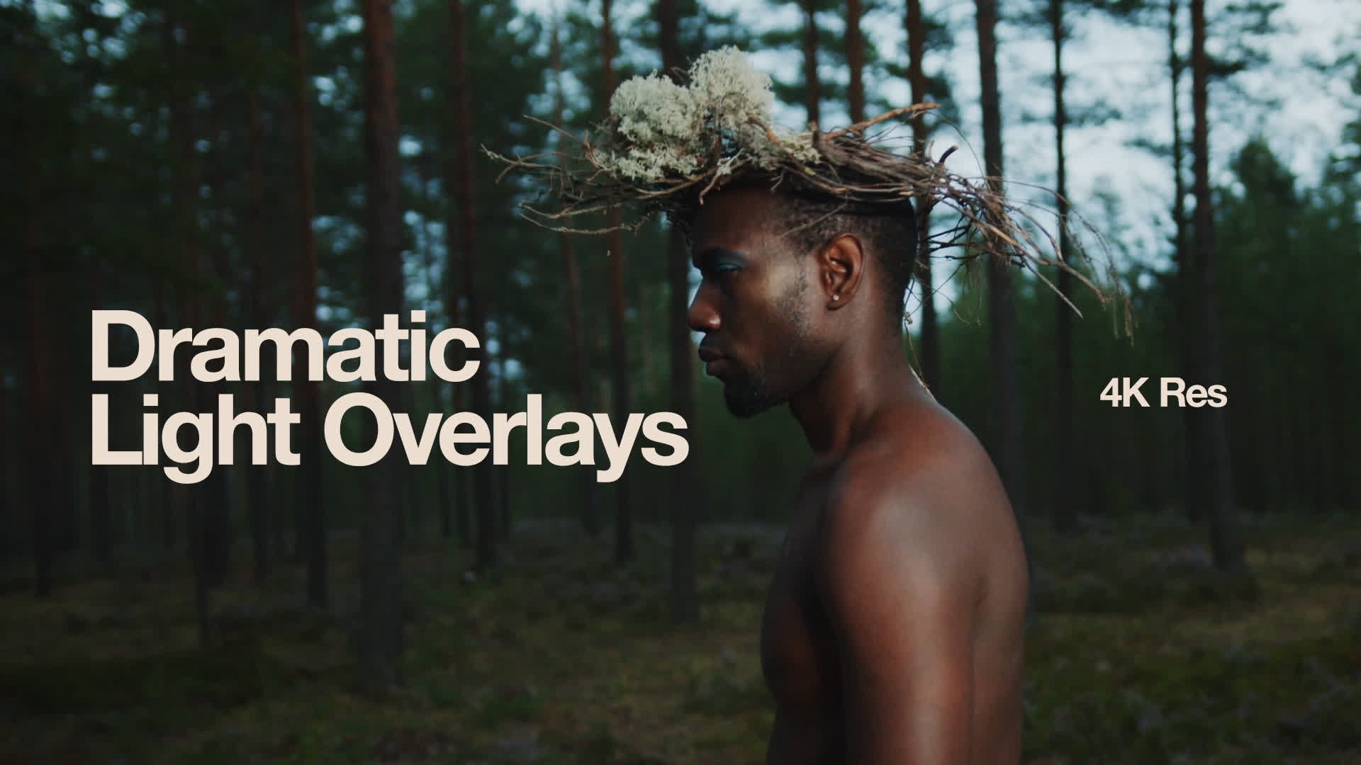 Dramatic Light Overlays