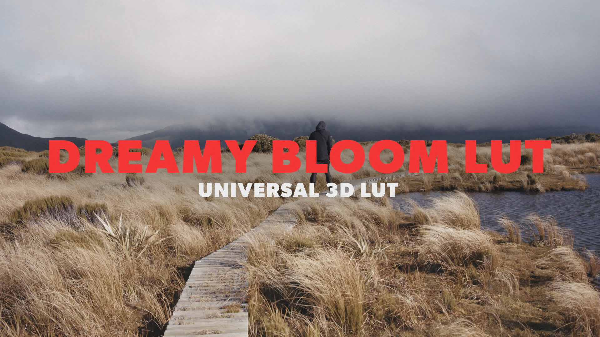 Dreamy Bloom LUT