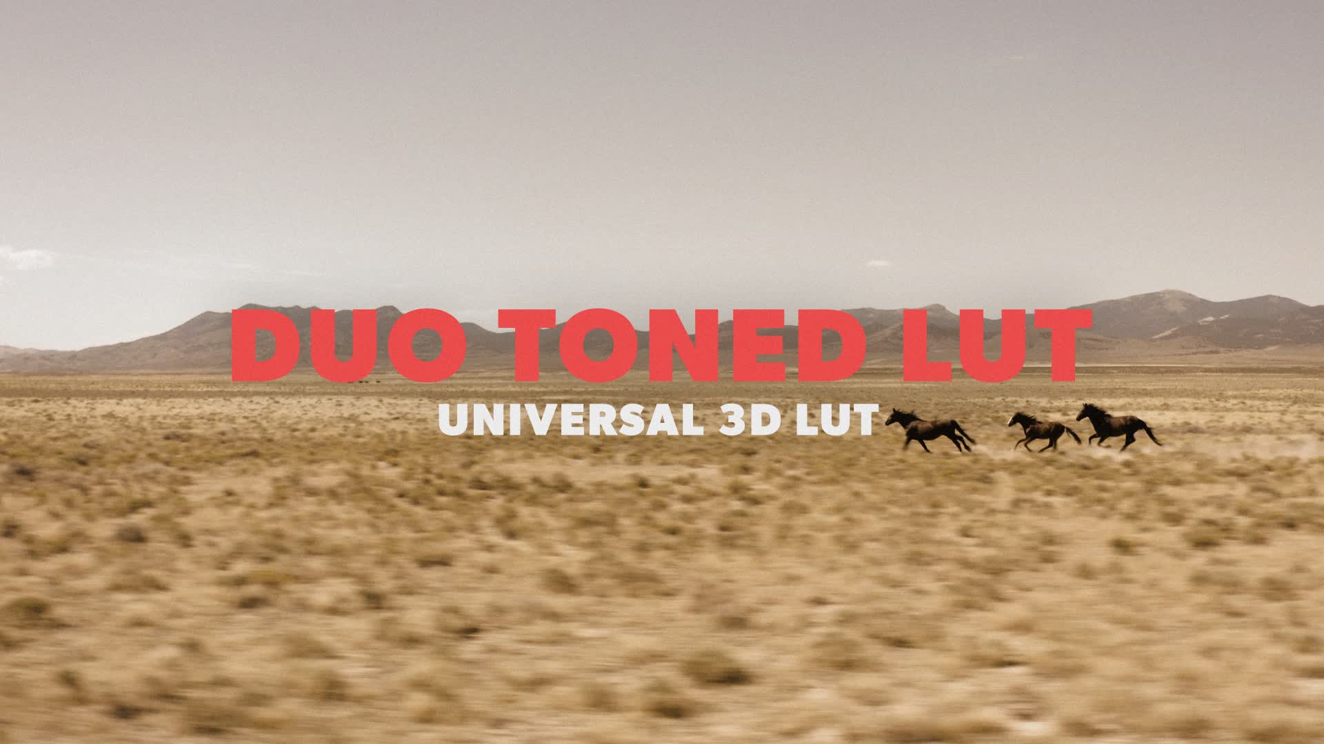 Duo Toned Overlay LUT
