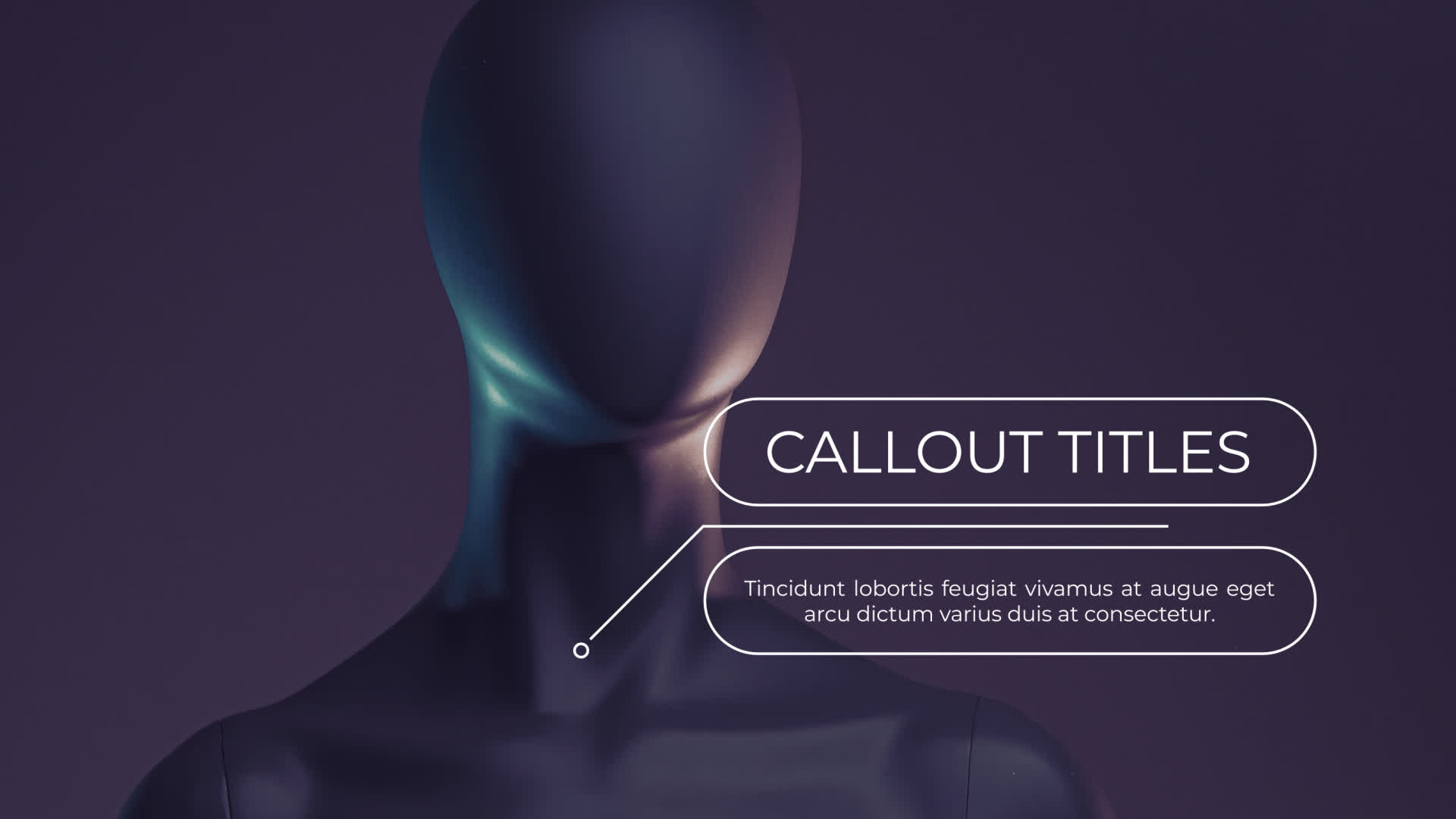 Elegant Callout Titles