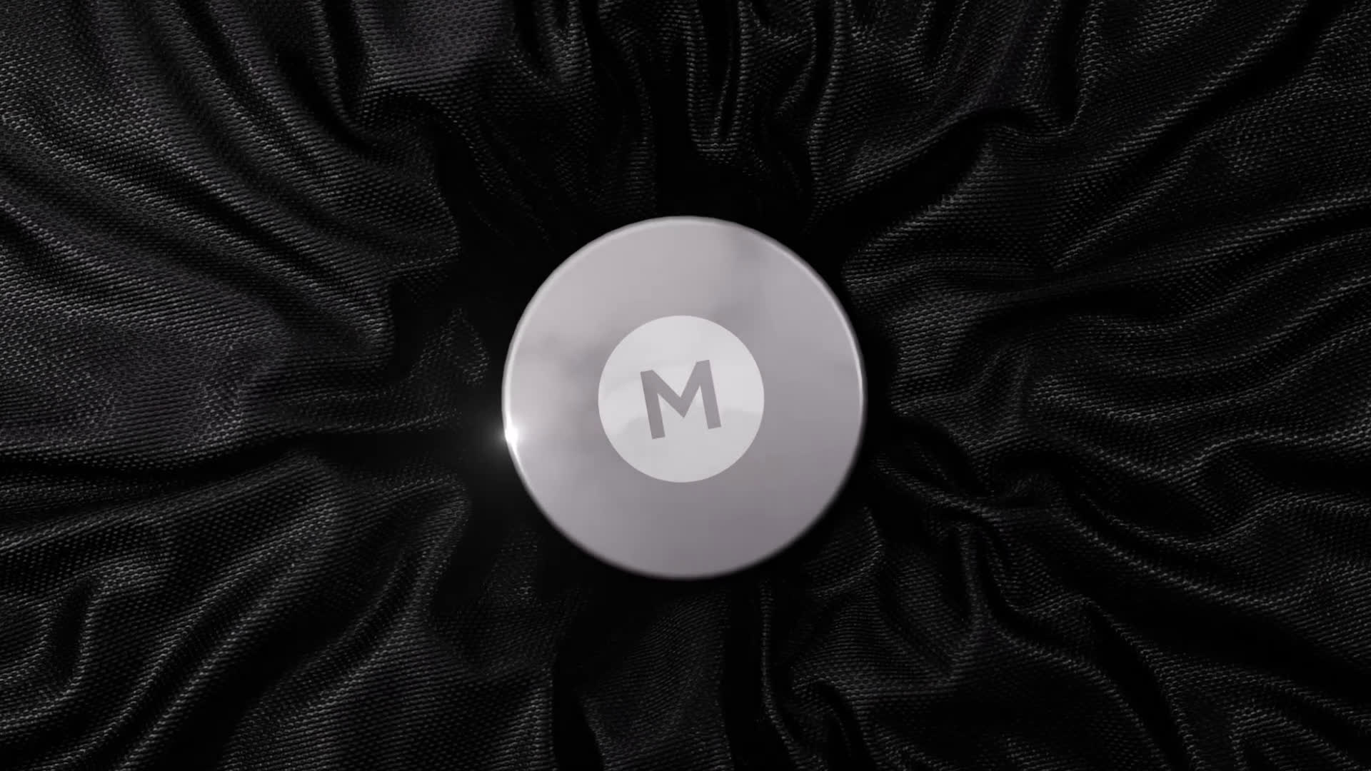 Elegant Fabric Logo Reveal