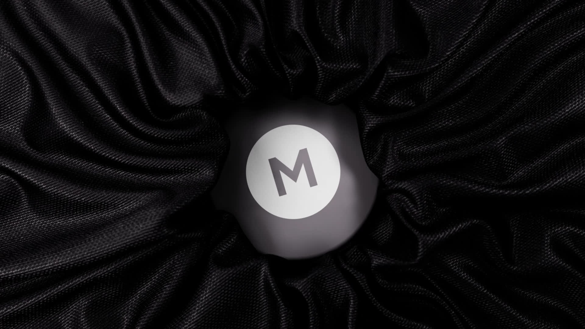 Elegant Fabric Logo Reveal