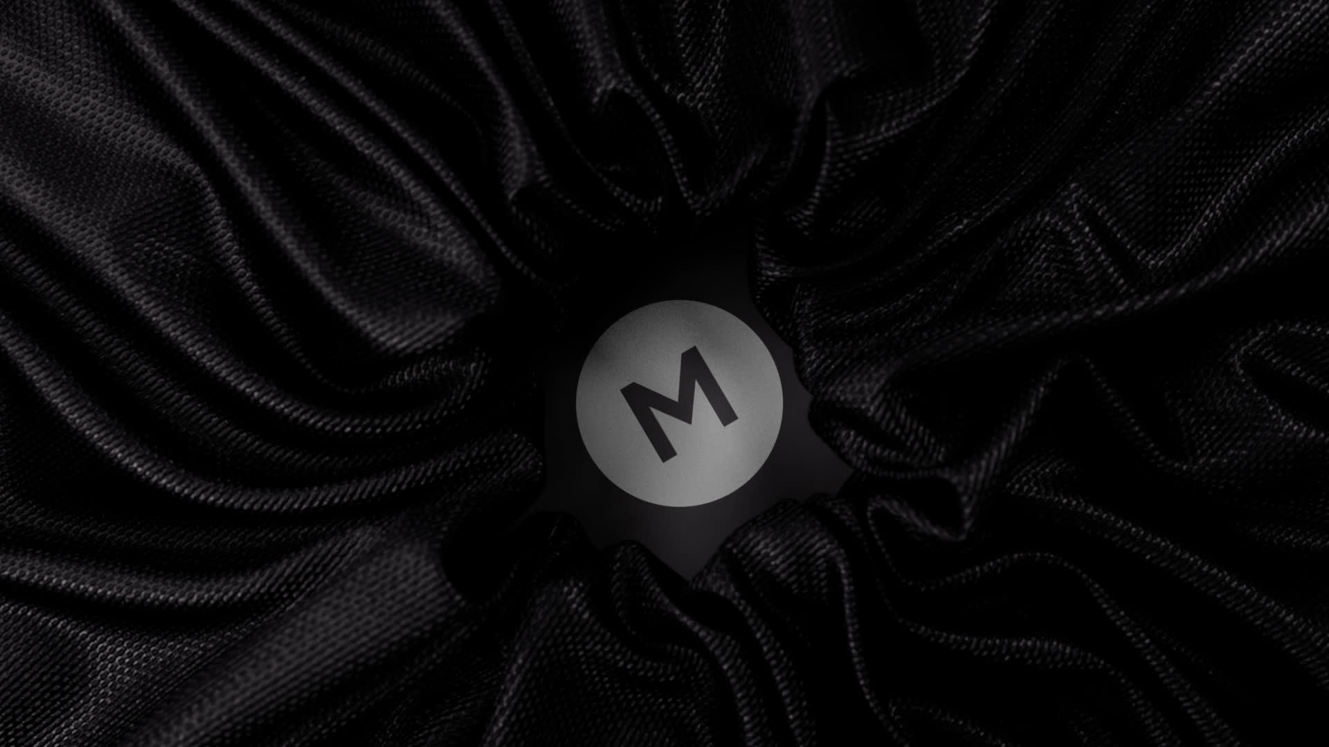 Elegant Fabric Logo Reveal