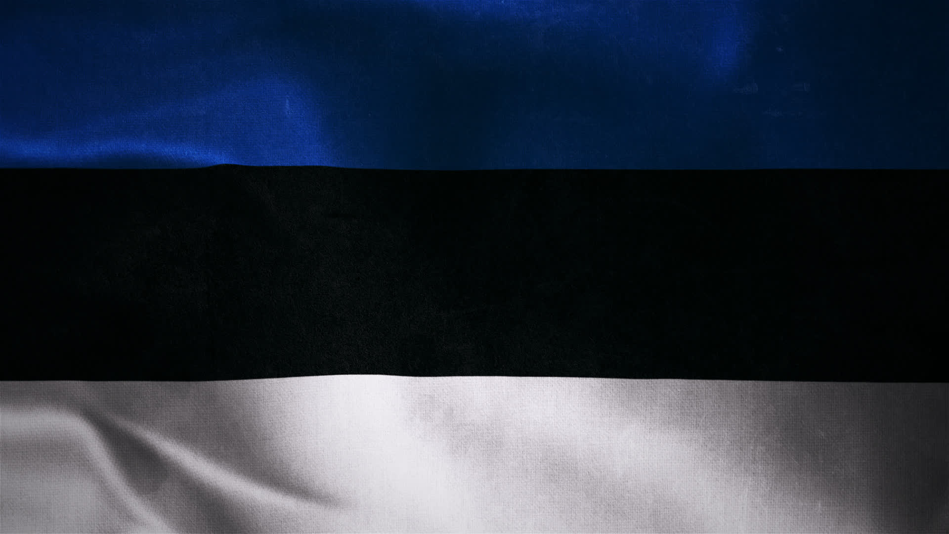 Estonia Flag