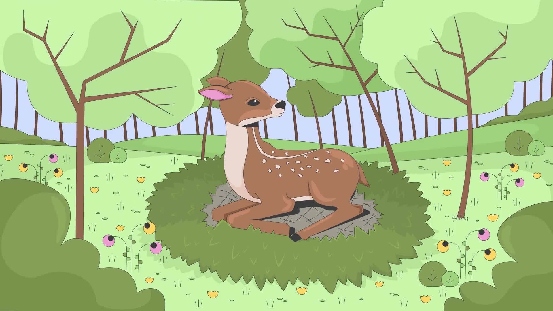 Fawn In Spring Forest Grass
