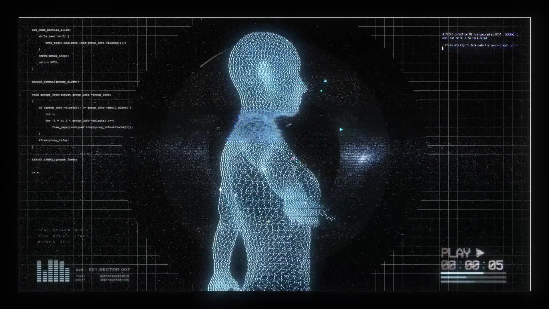 Female Anatomy Digital Screen