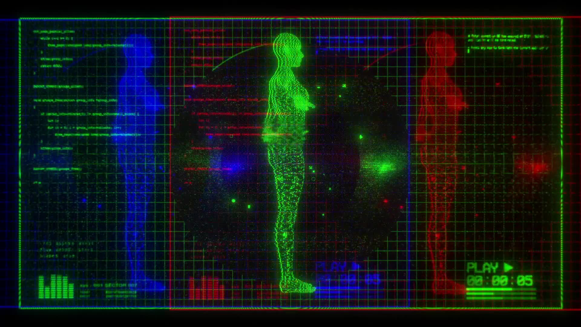 Female Anatomy RGB Digital Screen