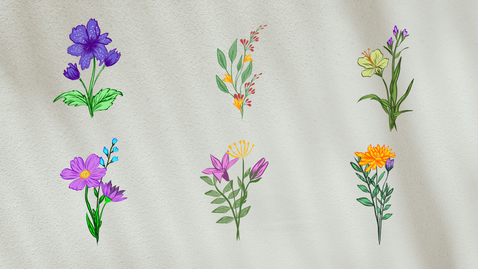 Flower Animation Elements