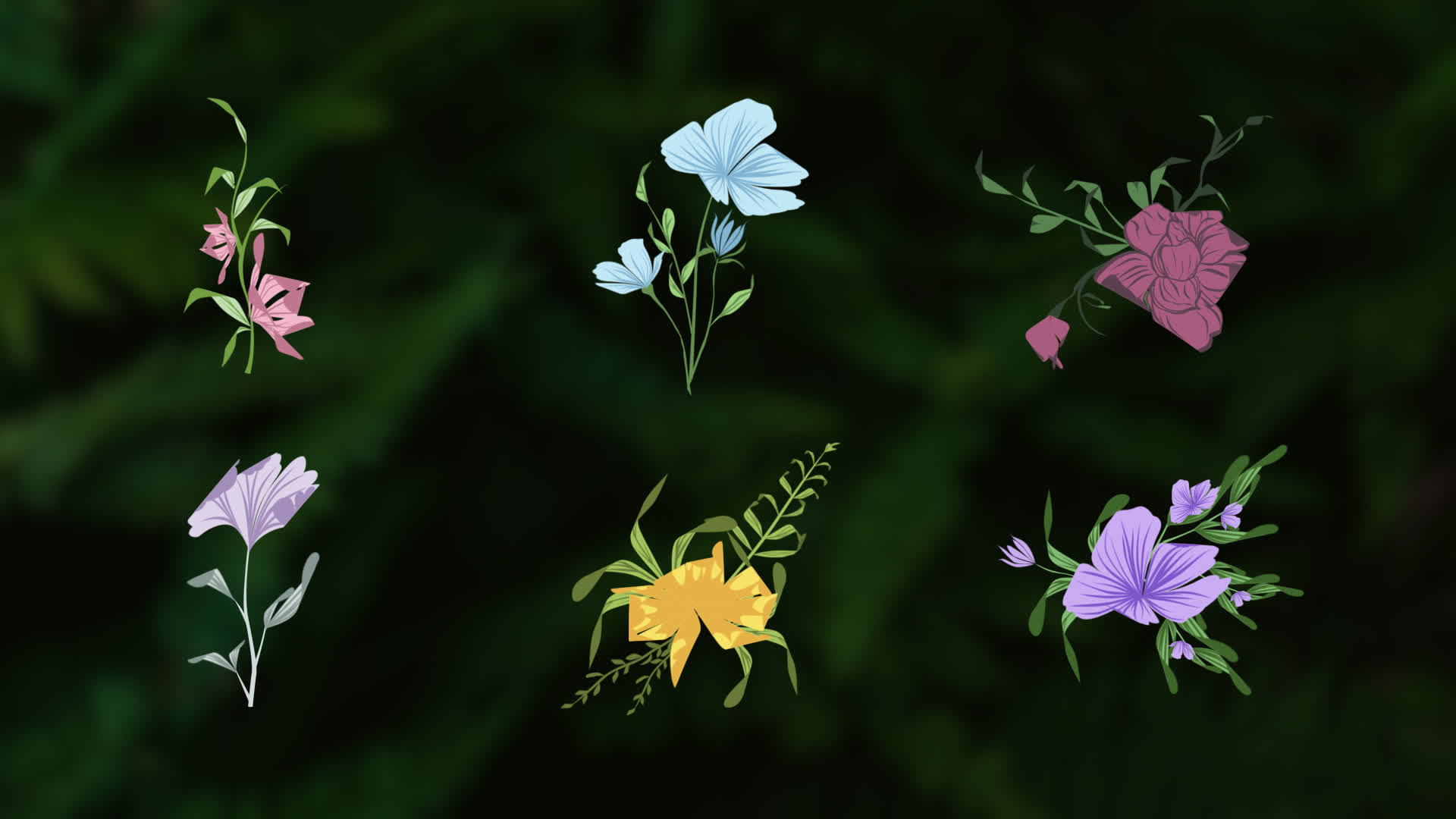 Flower Romantic Animation Elements