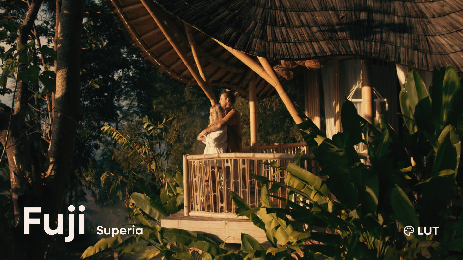 Fuji Superia Film Emulation LUT