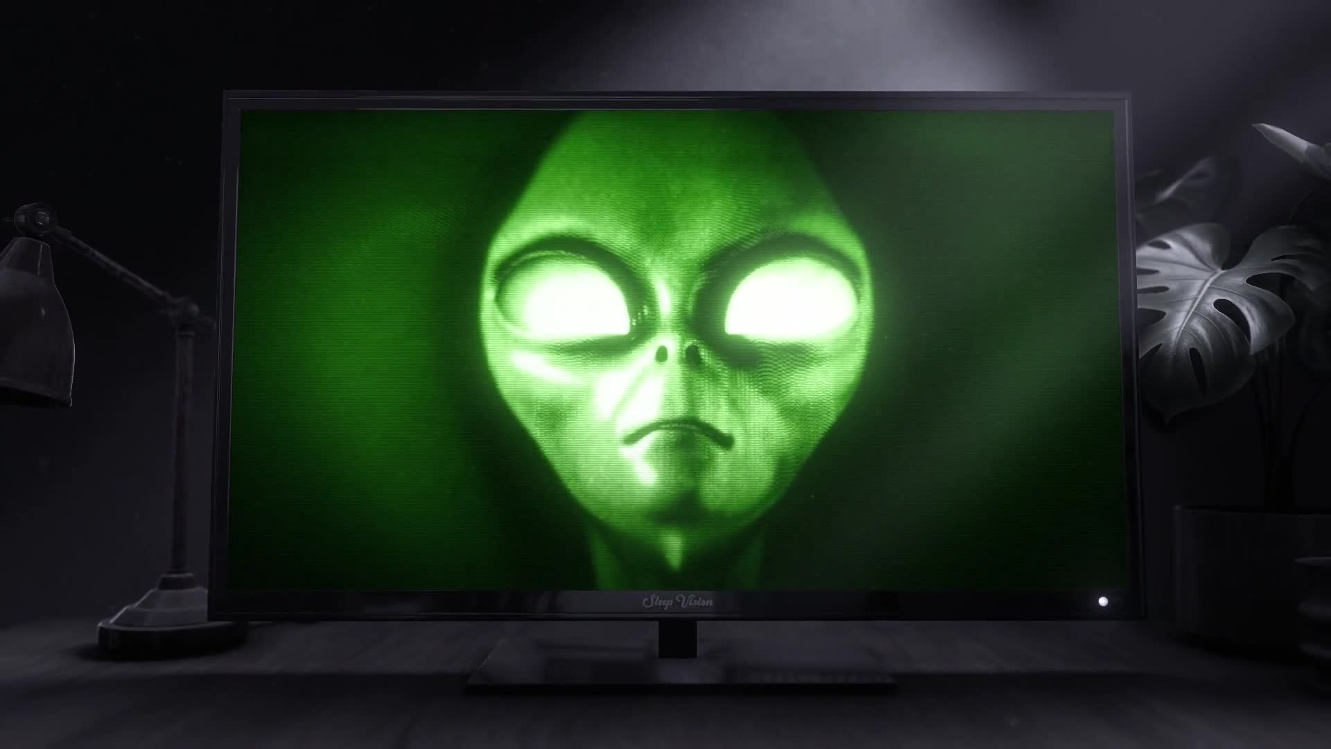 Grey Alien TV Noise Signal