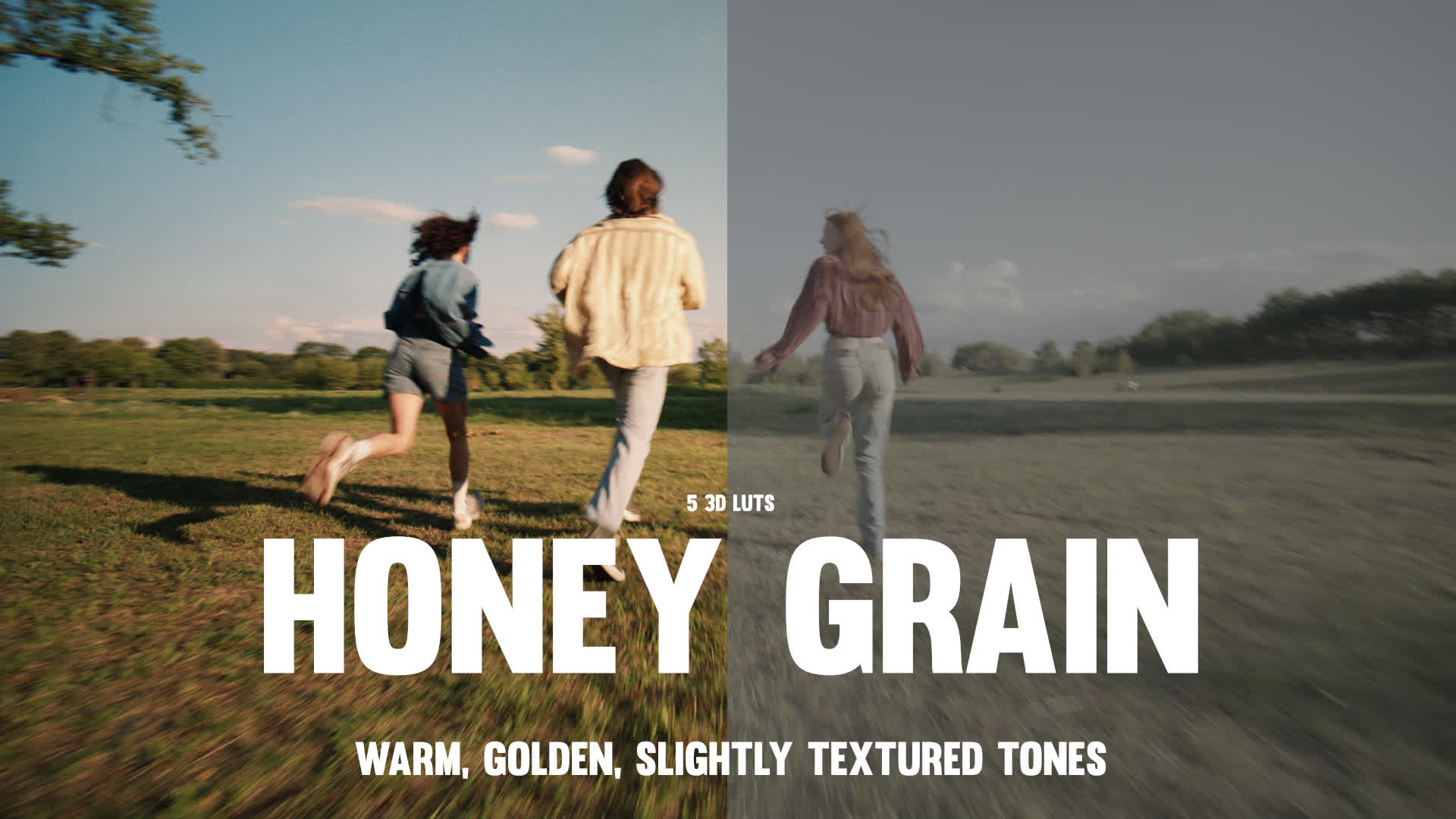 Honey Grain LUT Pack