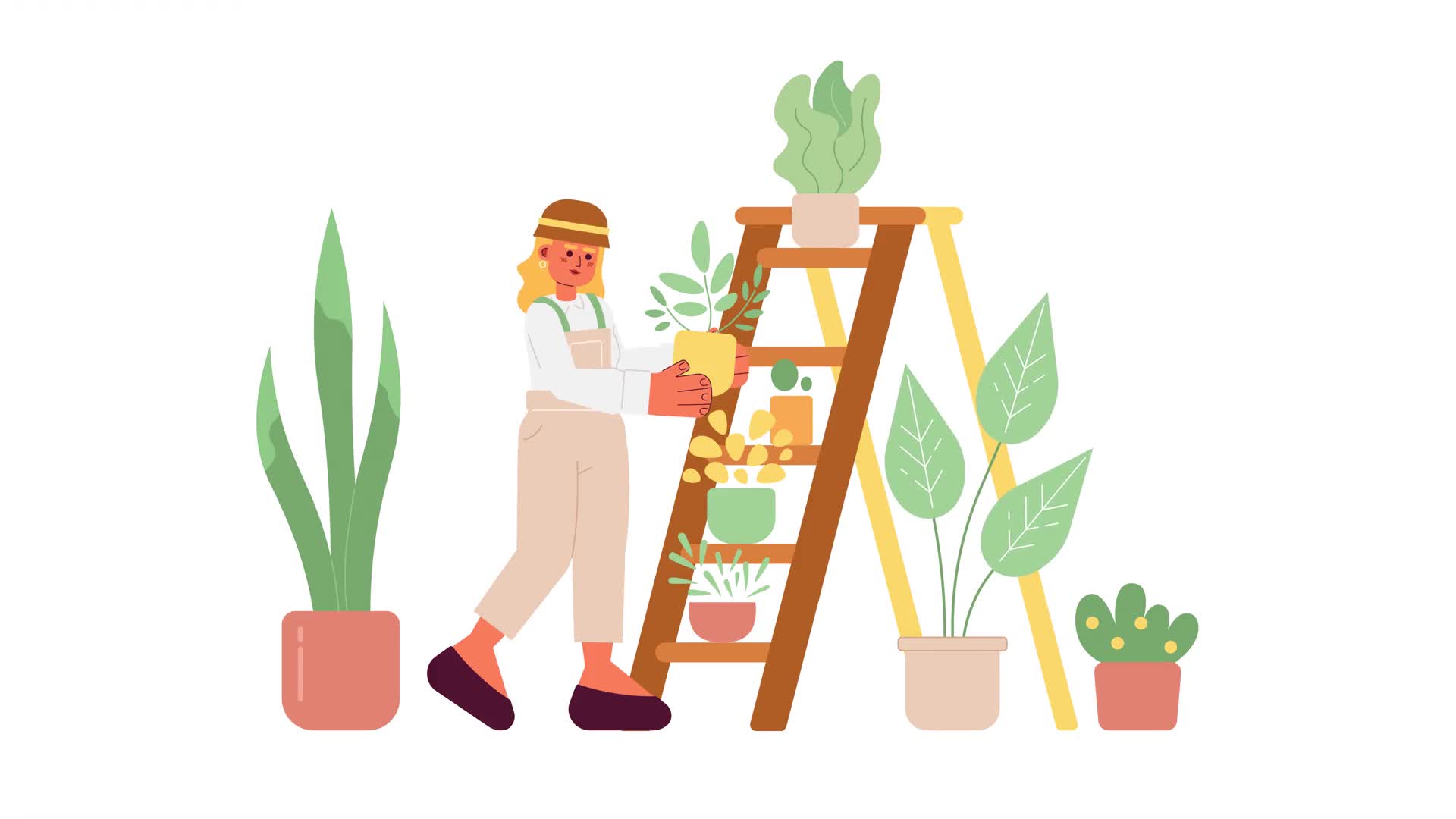 House Plants And Gardener