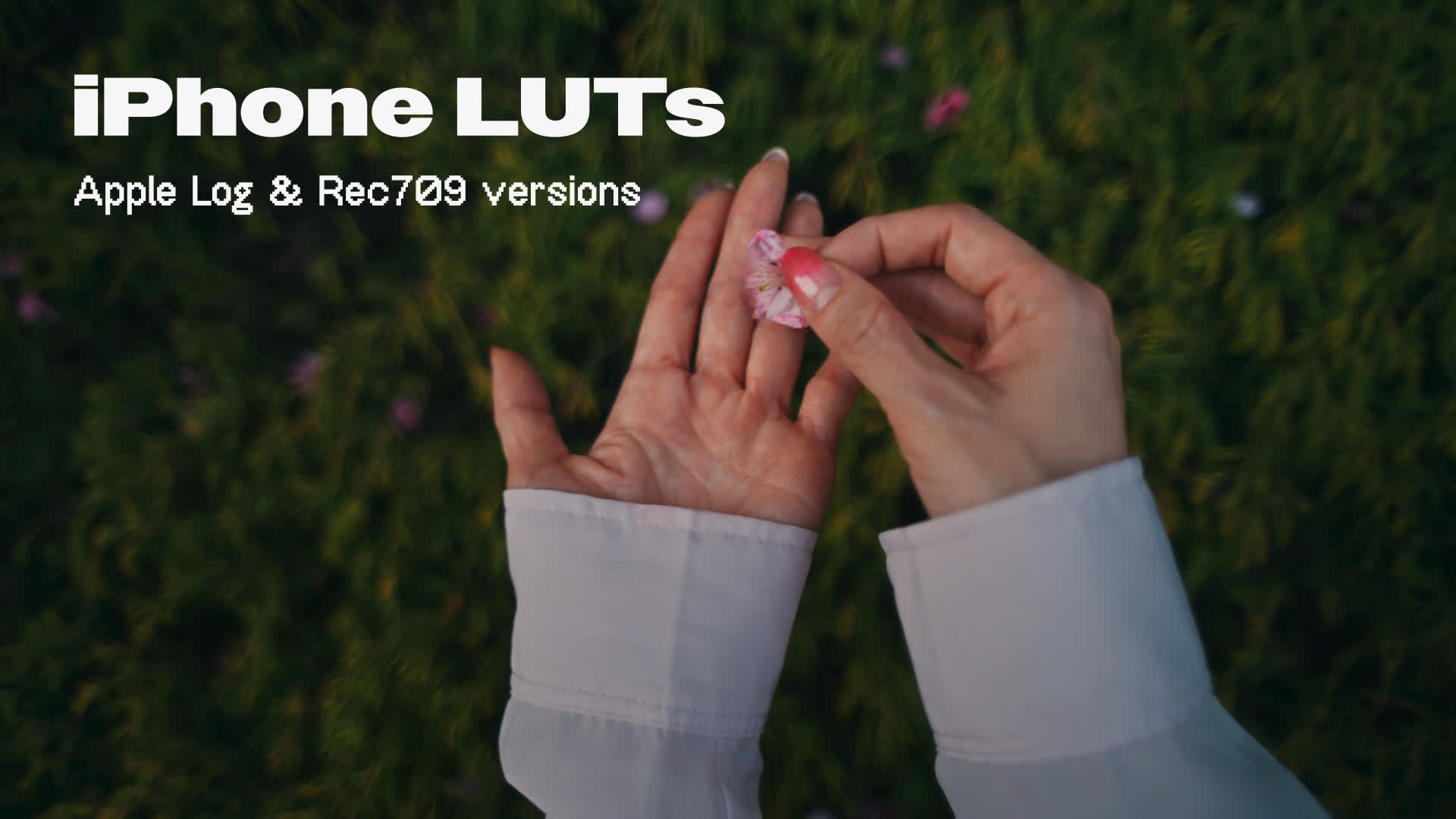 IPhone Inspired Cinematic Luts