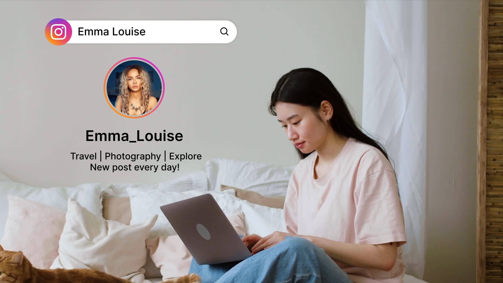 Instagram Search Bar With Profile Details