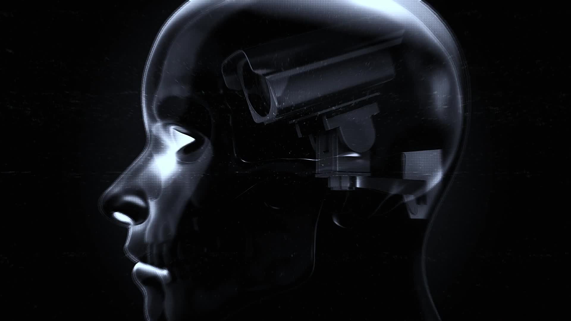 Internal Head Camera