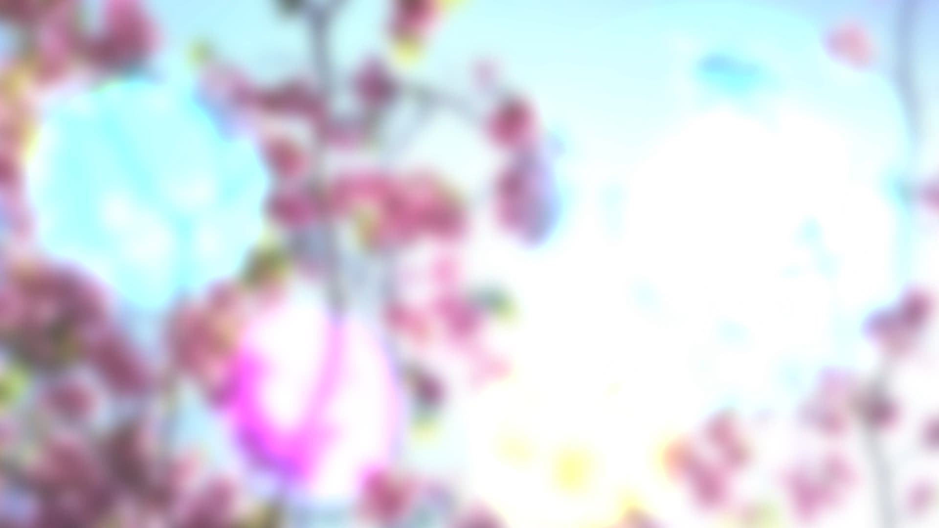 Light Leak Transition Pack