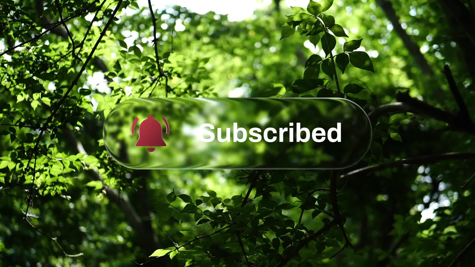 Liquid Glass Subscribe Button