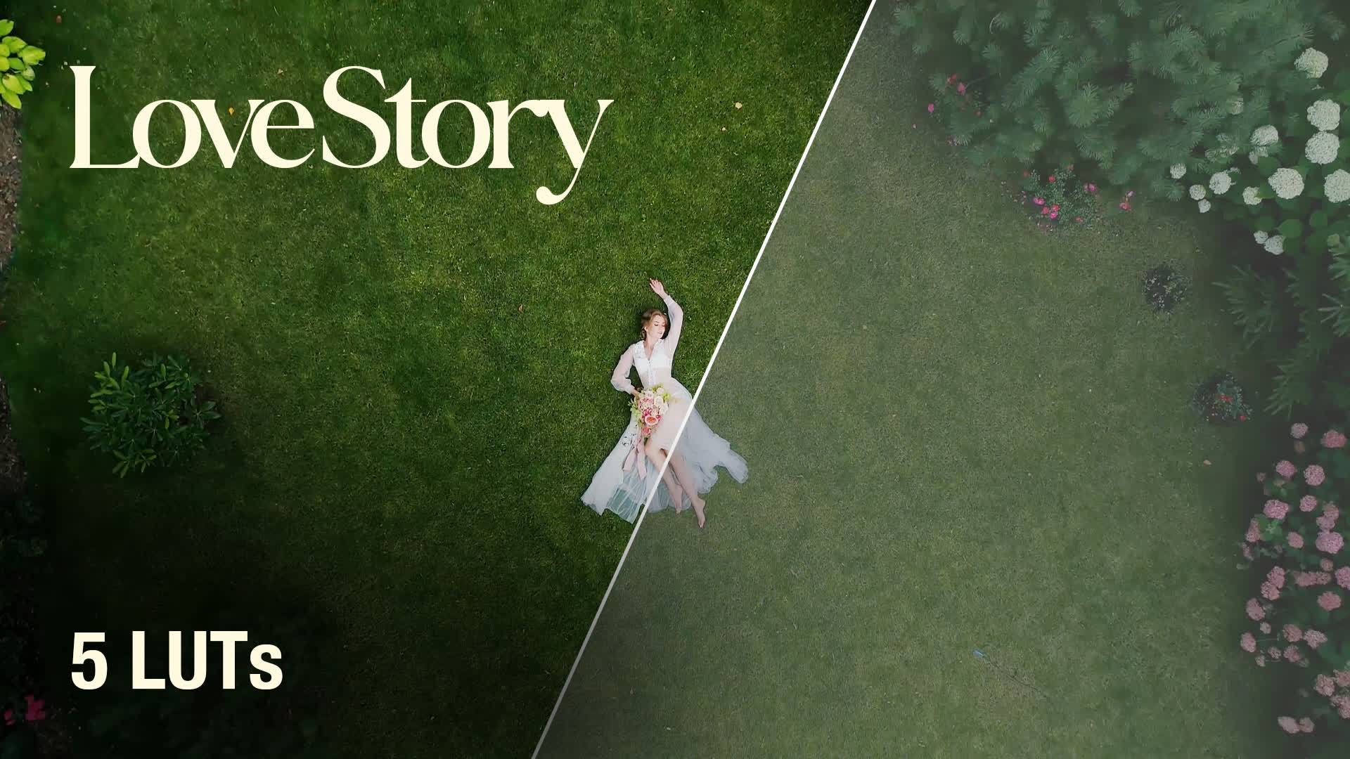Love Story Luts