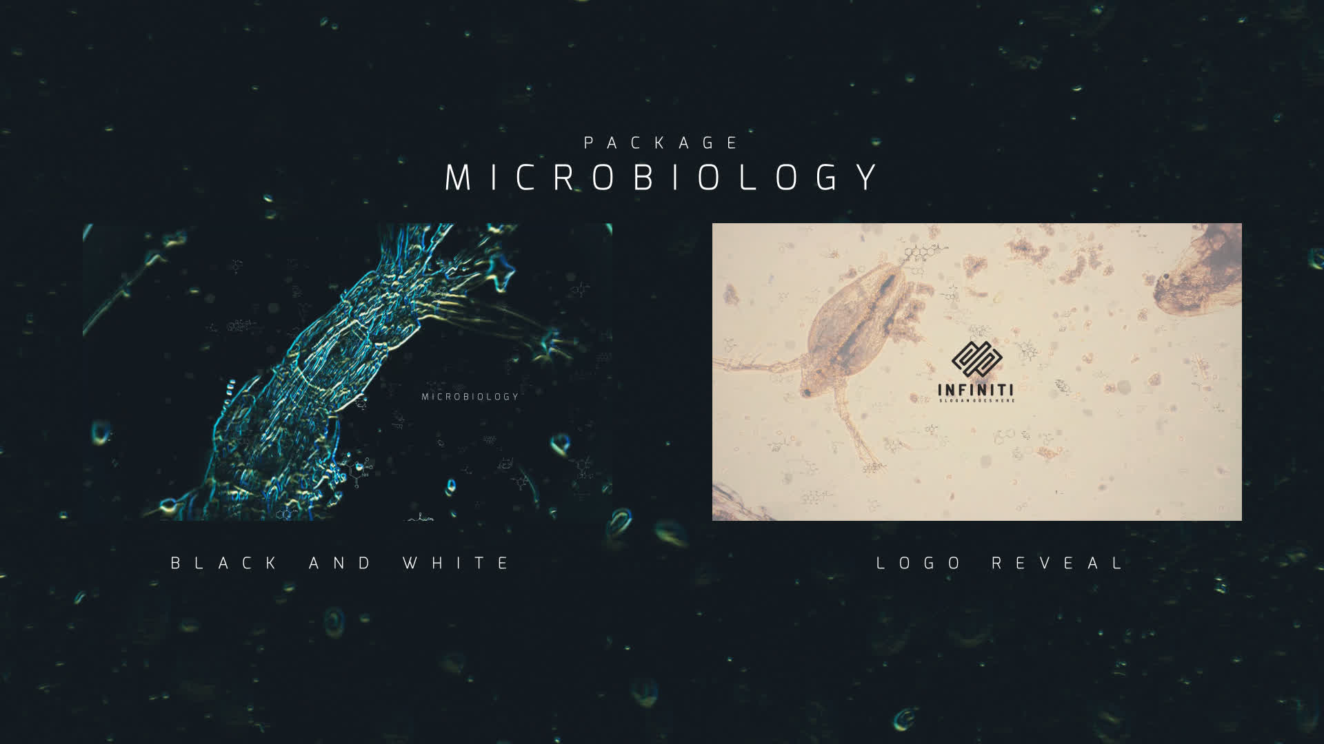 Microbiology Package