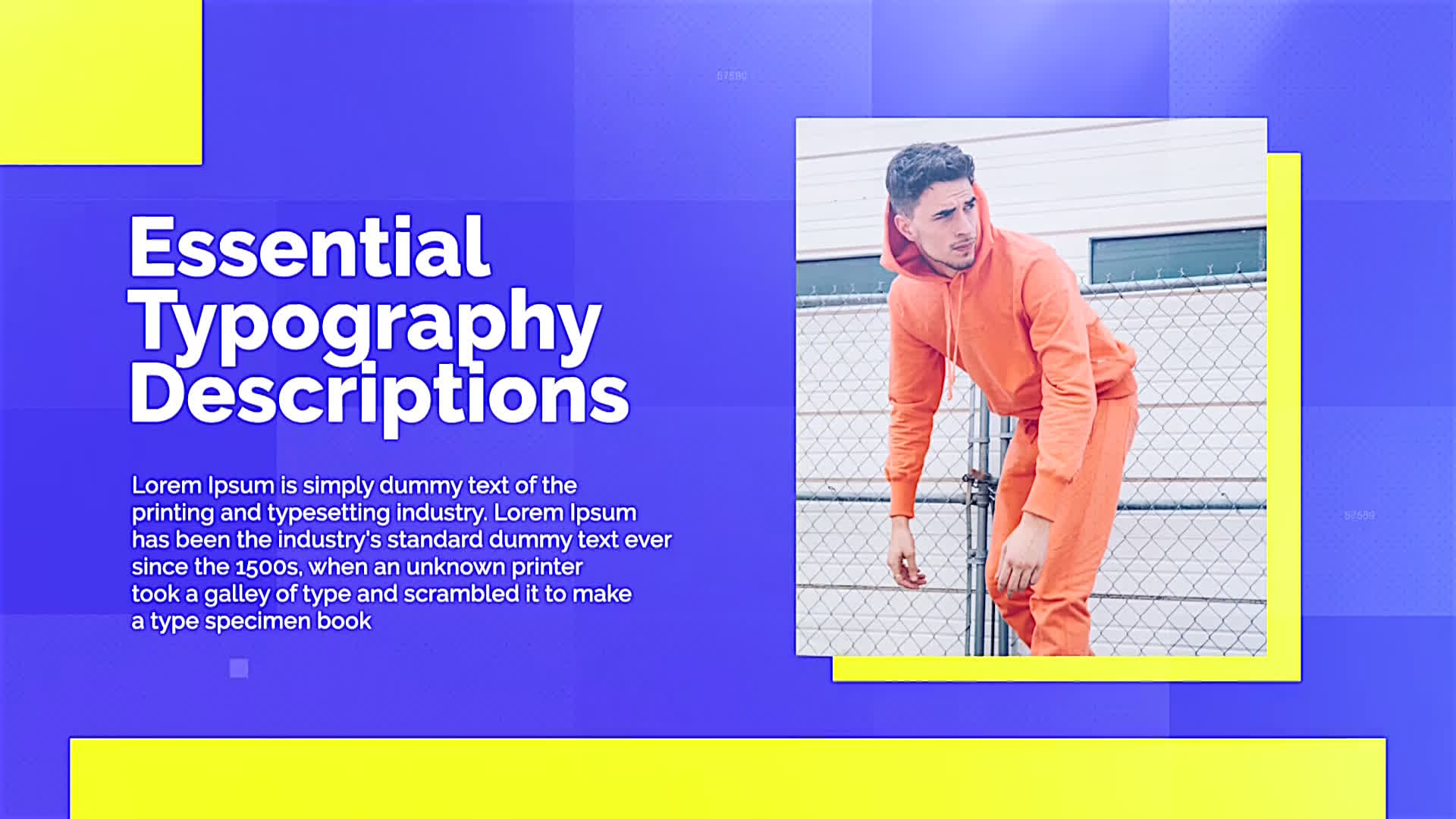 Minimal Portfolio Display