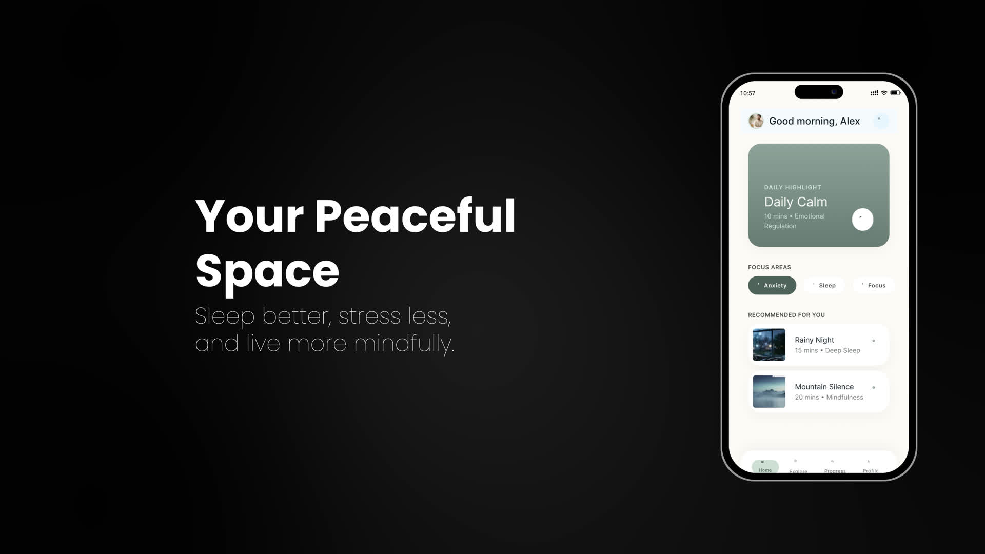 Minimalist Mobile Interface Showcase