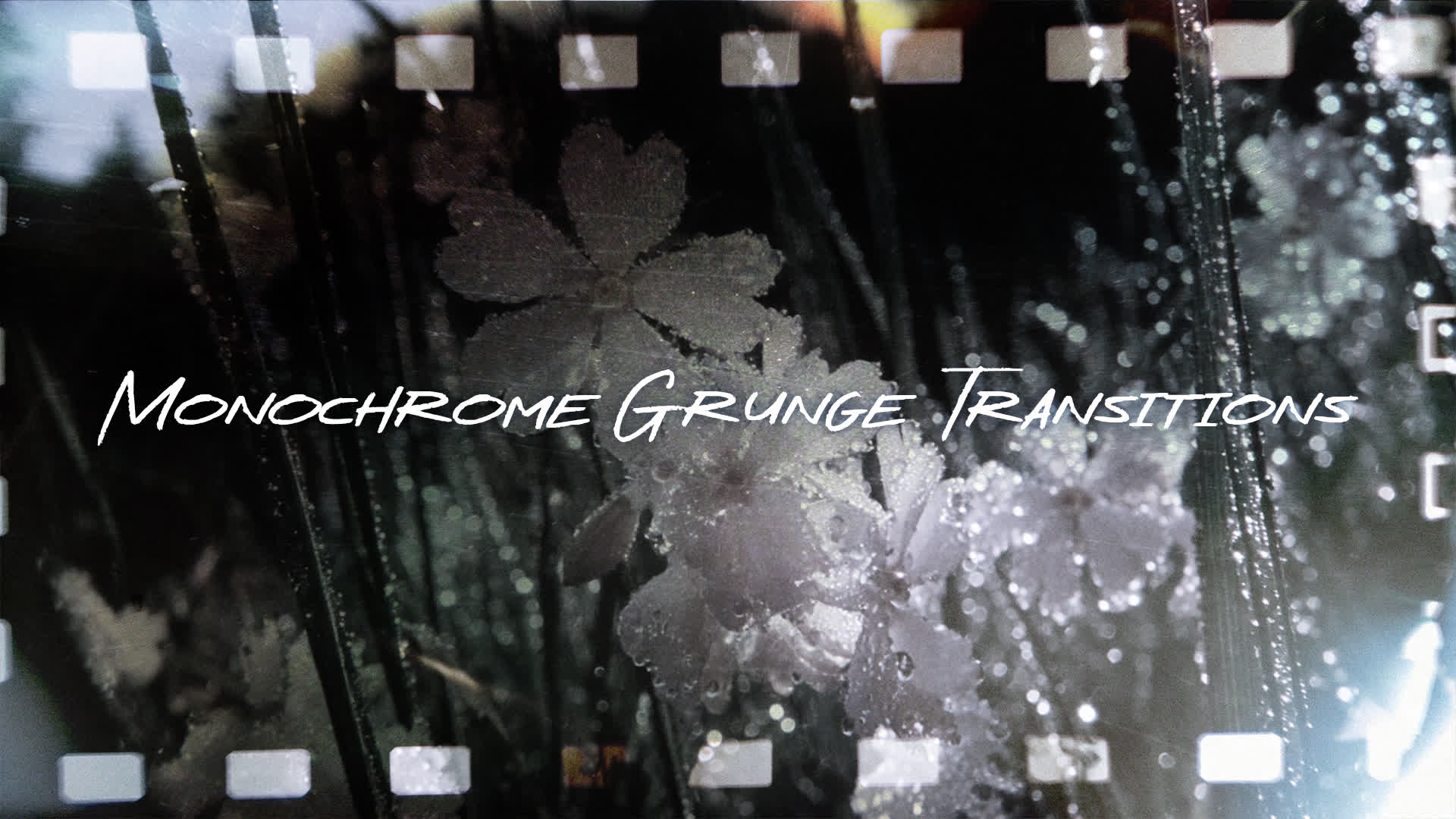 Monochrome Grunge Transitions