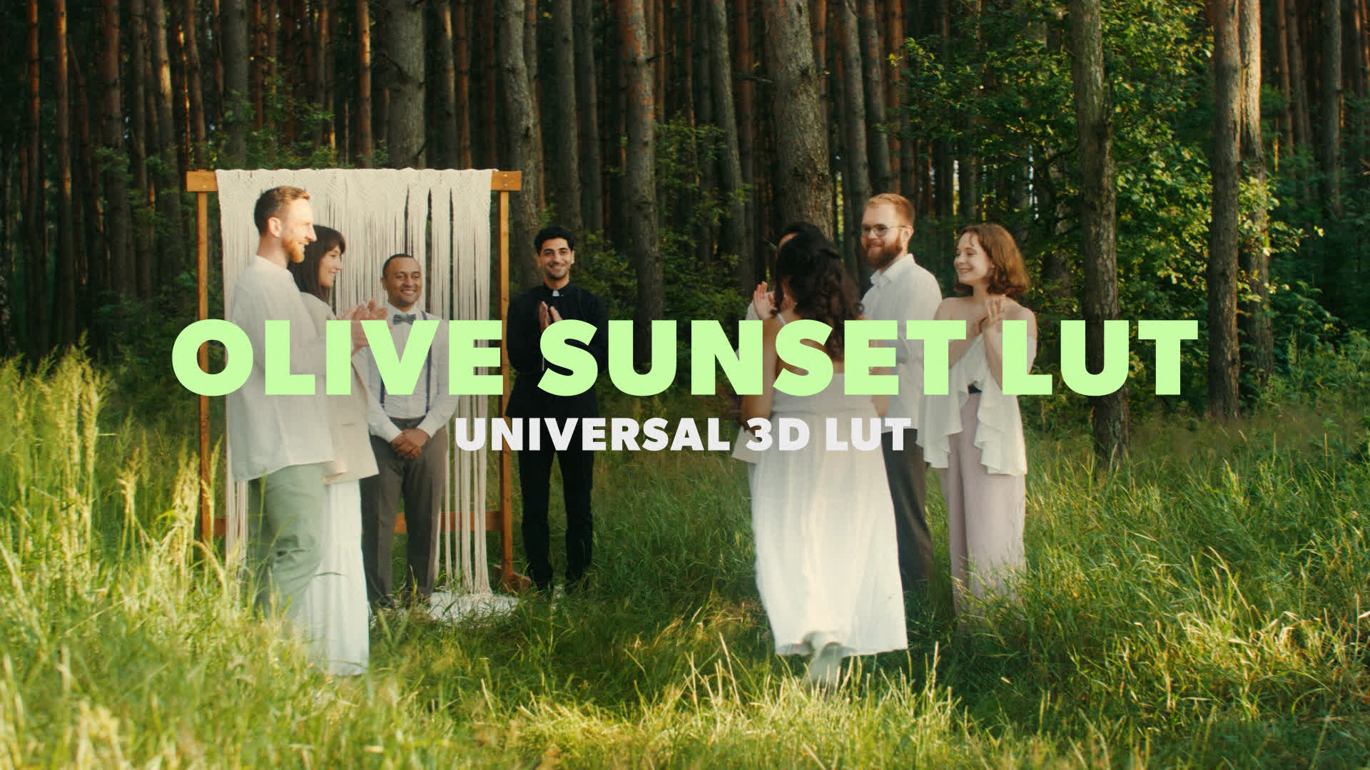 Moody Olive Sunset LUT