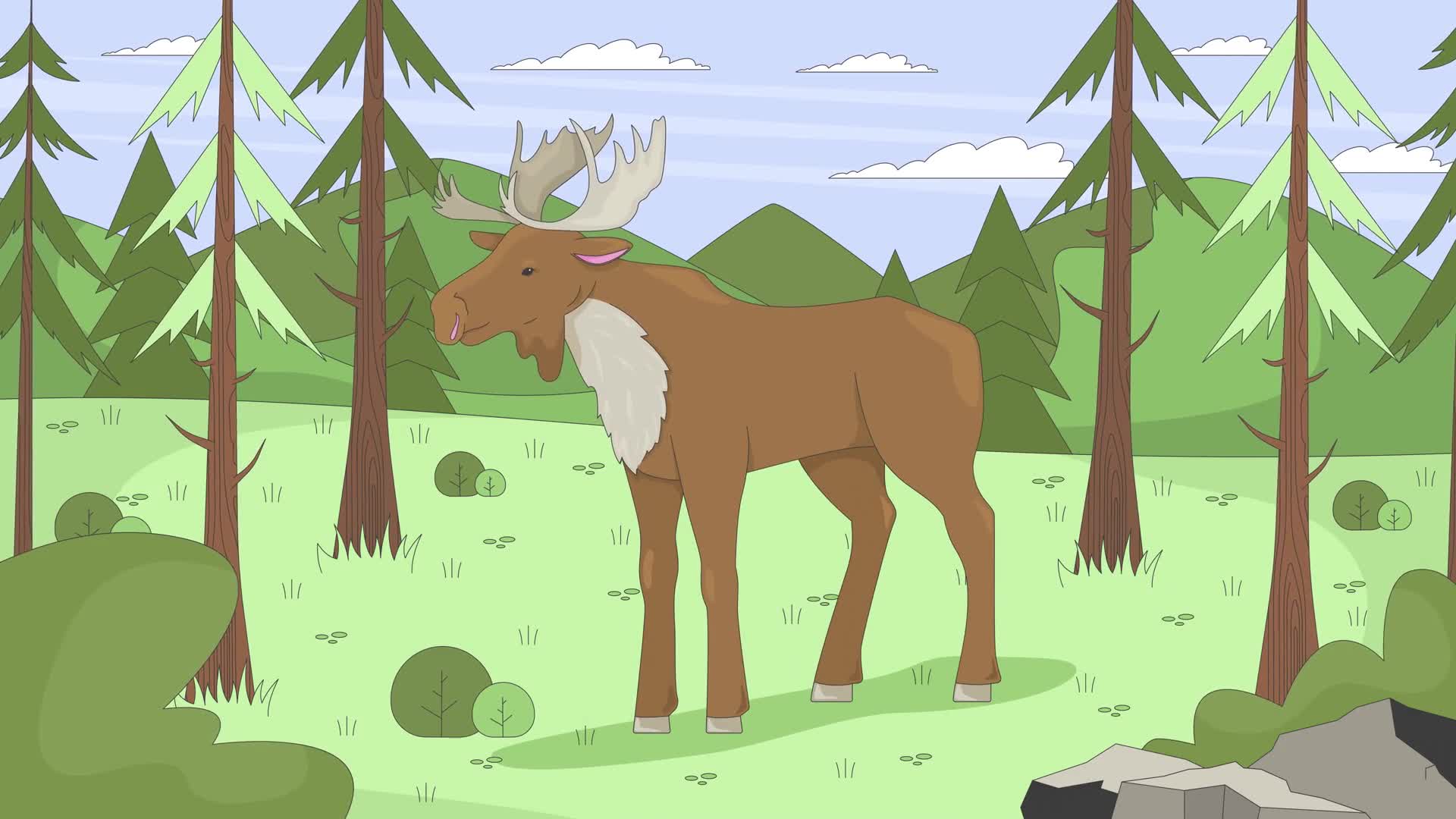 Moose Standing In Mountain Forest