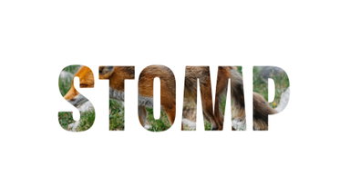 Free Sports Templates • Uppbeat