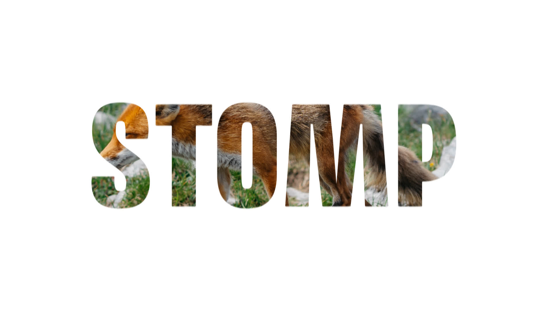 New Fast Intro