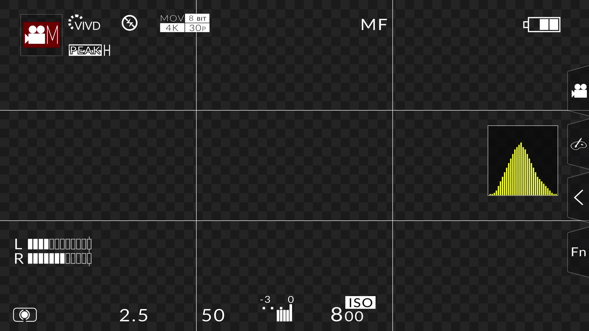 DSLR Camera Recording Overlay