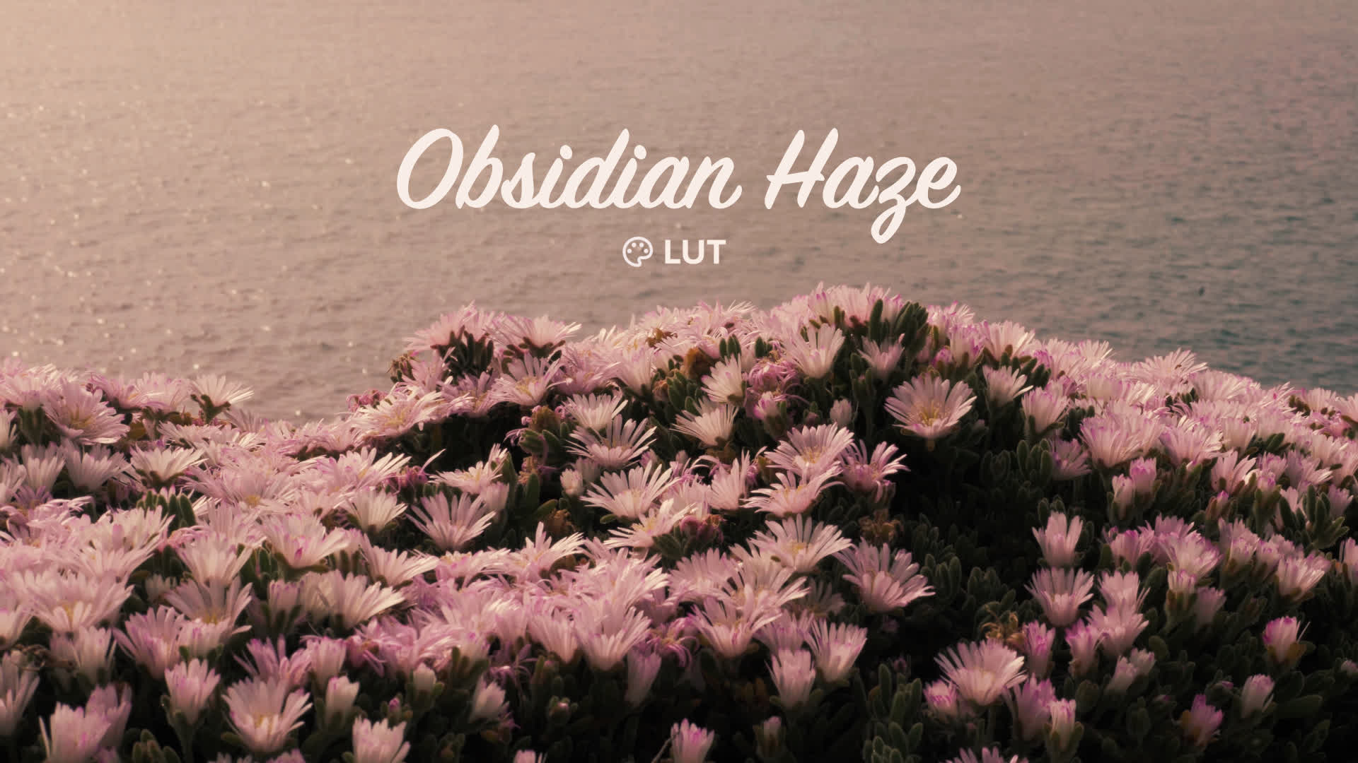 Obsidian Haze LUT