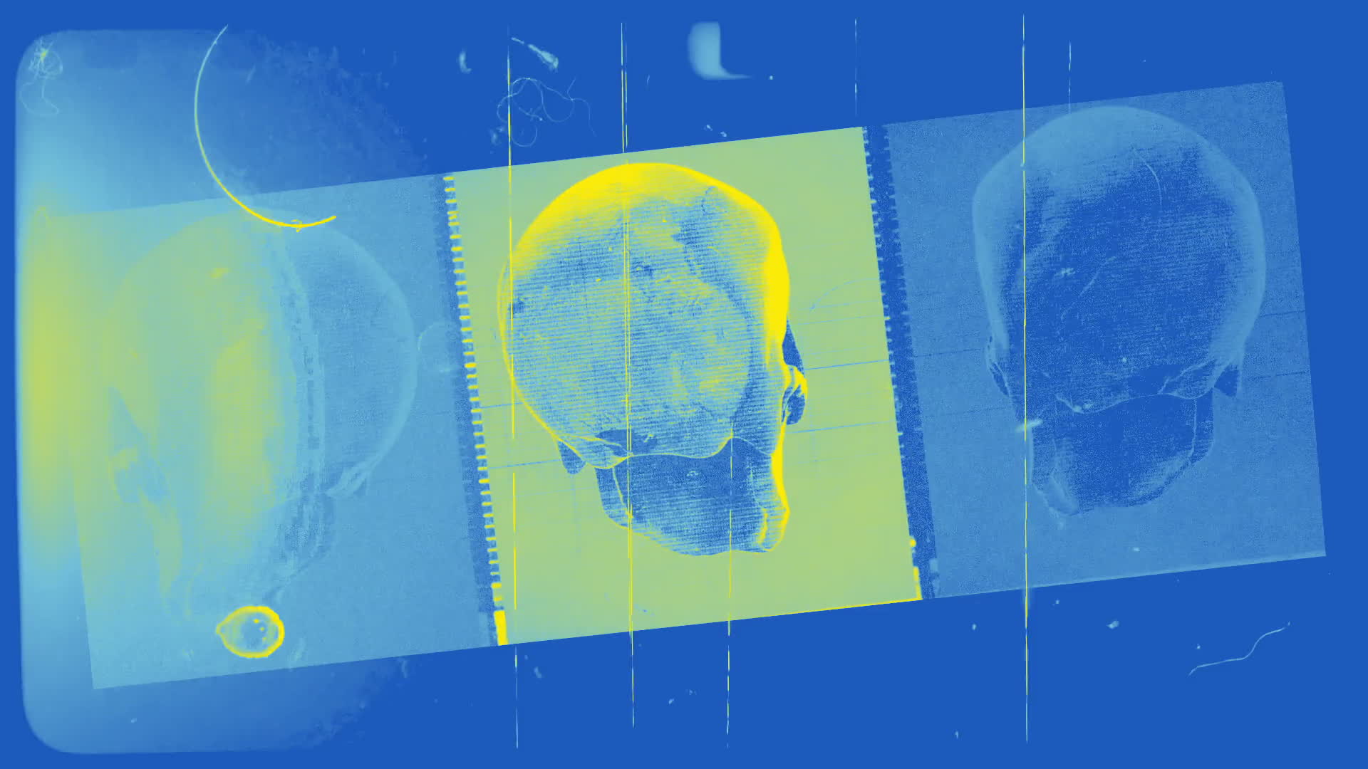 Old Film Skull Archive Blue