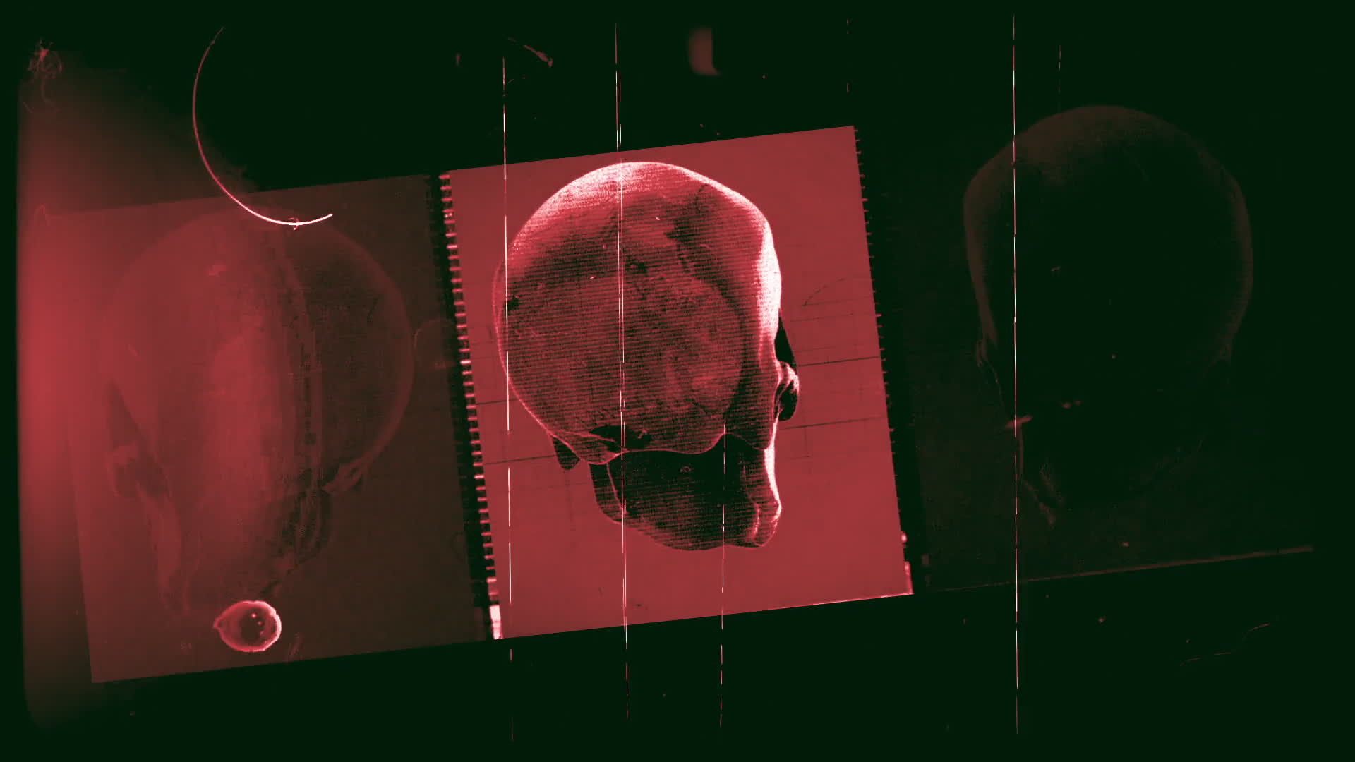 Old Film Skull Archive Red
