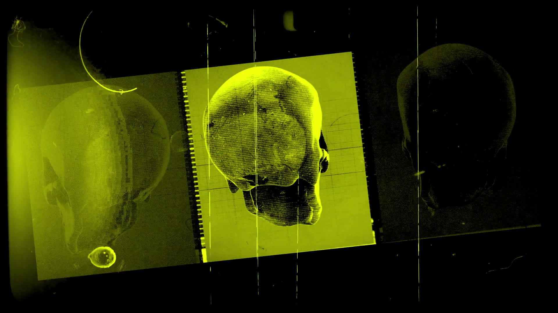 Old Film Skull Archive Yellow