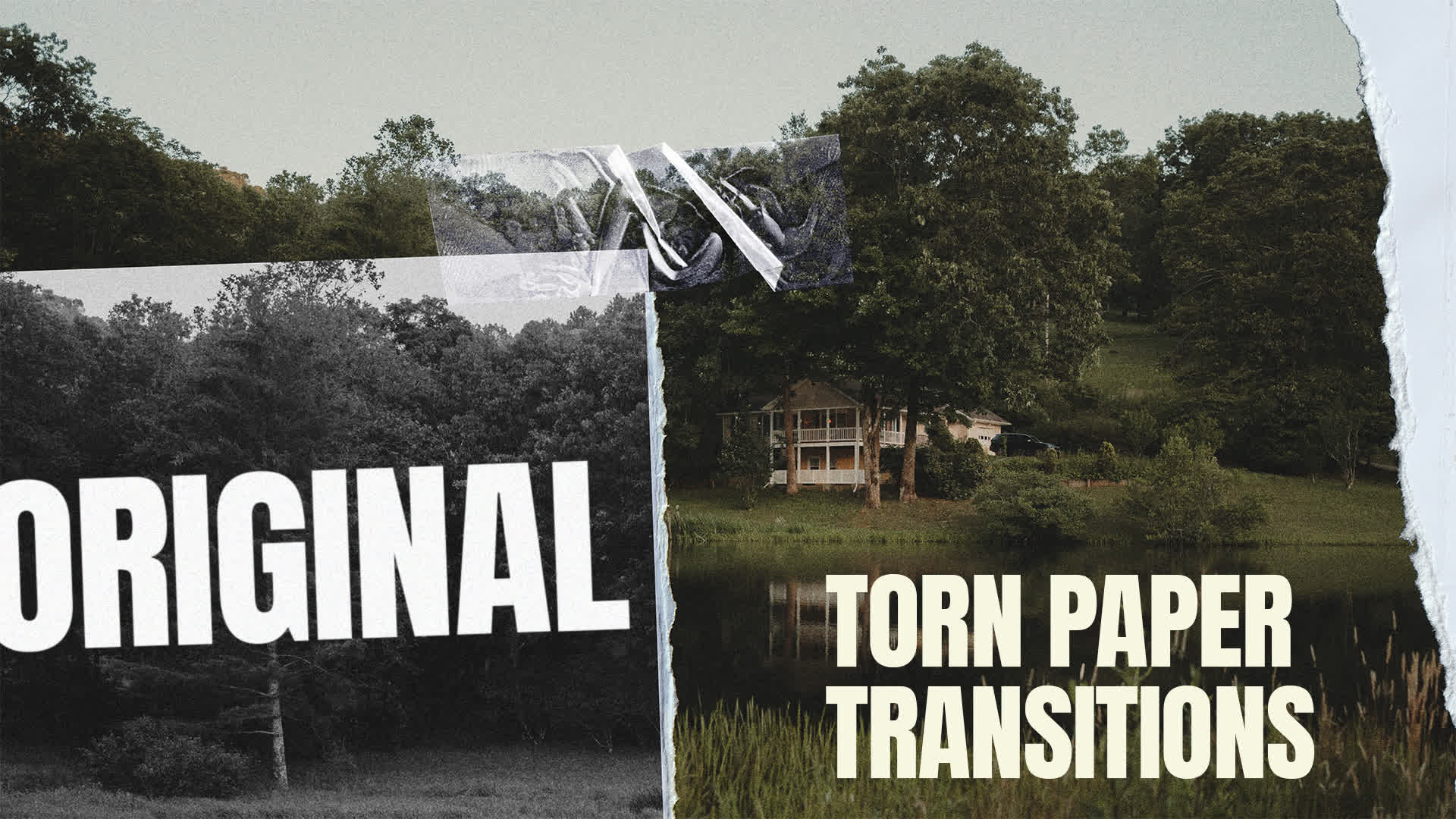 Original Torn Paper Transitions