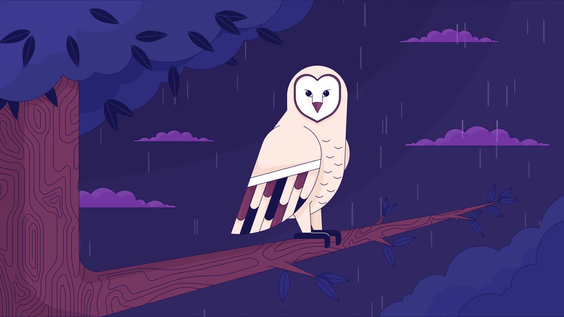 Owl In The Night Background