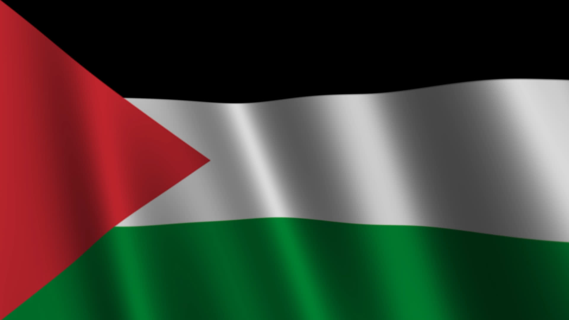 Palestine Flag Waving Background