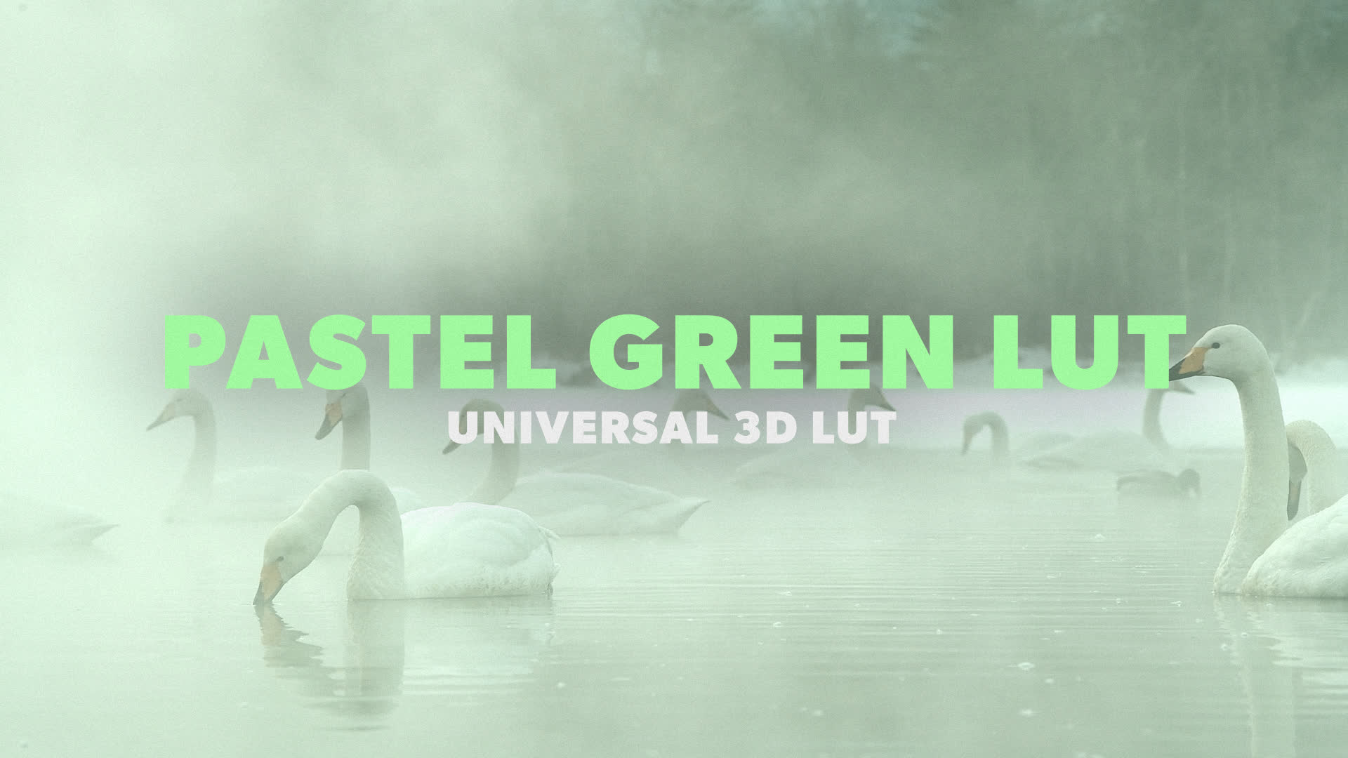 Pastel Green LUT